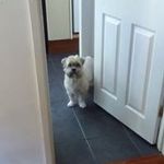 William Mackey - @william.mackey.338 - Instagram