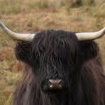 William Macleod - @macleod2950 - Instagram