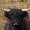 William Macleod - @user7464323141296 - TikTok
