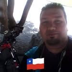 Wallace - @william_maiden_wallace - Instagram