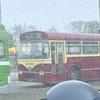 William Maile - @william.maile7 - TikTok