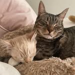 William & Maisie - @williamandmaisie - Instagram