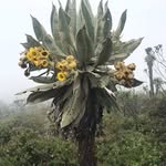 William Hernan Garcia Malagon - @williamhernangarciamalagon - Instagram