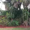 williamalm213 - @williamalm213 - TikTok