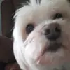 William - @william_nic - TikTok