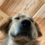 William Malone - @william.malone5 - Instagram