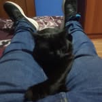 William Mancera - @williamgmancera - Instagram