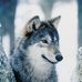 William Mancuso - Facebook