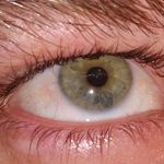 William Mancuso - @william.mancuso.90 - Instagram