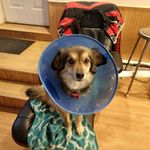William Mandel - @william.mandel.33 - Instagram