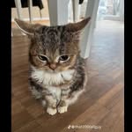 William Mannering - @mannering.william - Instagram