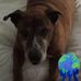 William Manross - Facebook