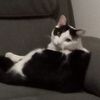 marble Williams - @marble.williams - TikTok