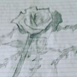 William Marble - @williammarble1 - Instagram