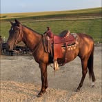 Will Marburger - Facebook