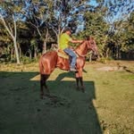 William Marcial - @marcial4787 - Instagram