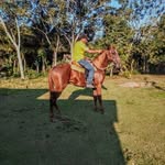 William Marcial - @williammarcial36 - Instagram