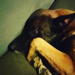 William Marine Millet - @ryan_leproults - Instagram