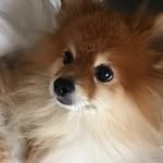 William Marinin - @william.marinin.048098 - Instagram