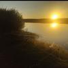 William Marion - @william.marion - TikTok