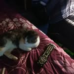 William Marker - @william.marker.56 - Instagram