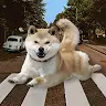 William Marron - @marron.exe - TikTok