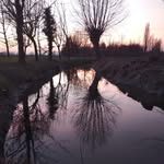 William Marseglia - @wlmelp45 - Instagram