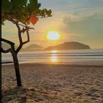 William Martini - @william.martini.144 - Instagram