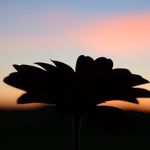 William Martinson - @willmartinsonphoto - Instagram