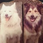 Jerry Marvin - @william.marvin.902 - Instagram