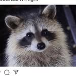 William & Masha - @werlittlebutfierce - Instagram