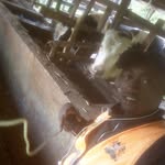 william masha - @williammasha8 - Instagram