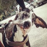 William massari - @willylucky09 - Instagram