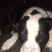 William Mateer - Facebook