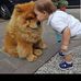 William Mateos - Facebook