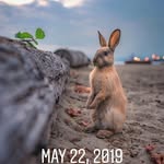 Hendry William materu - @hendry_william_materu_ - Instagram