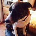 William Matney - @matney4974 - Instagram