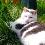 William Matney - @sniffydacat - Instagram
