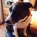 William Matney - Facebook