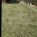 William Mauricio - Facebook