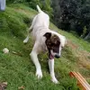 william Mauricio - @william.mauricio56 - TikTok
