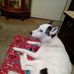 William Maxfield - Facebook