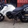 William Mayorga - @william.mayorga250 - TikTok