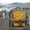 MERLIN 2304 - @williammcaulay5 - TikTok