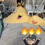 William McBee - @mcbeard_81 - Instagram