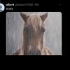 Wilyum - @williammcbee19 - TikTok