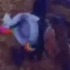 mcdougle.william1193 - @mcdougle.william1 - TikTok