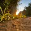 William McElhannon - @william.mcelhannon - TikTok