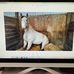 William McElwain - Facebook