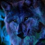 William Mcelya - @william_2435 - Instagram